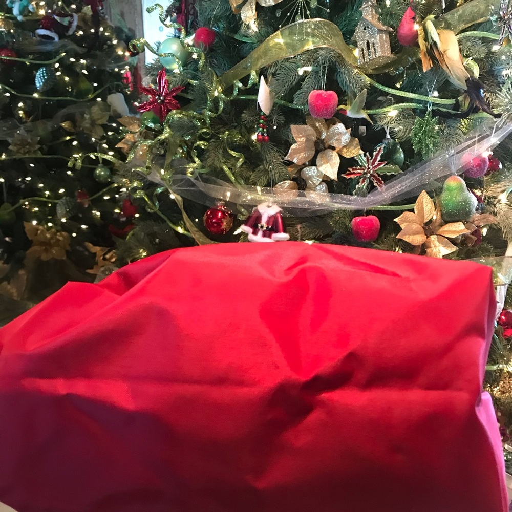 Longchamp Le Pliage Small Handbag NWOT RED - Picture 4 of 8